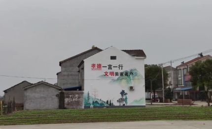 扬中新农村墙绘